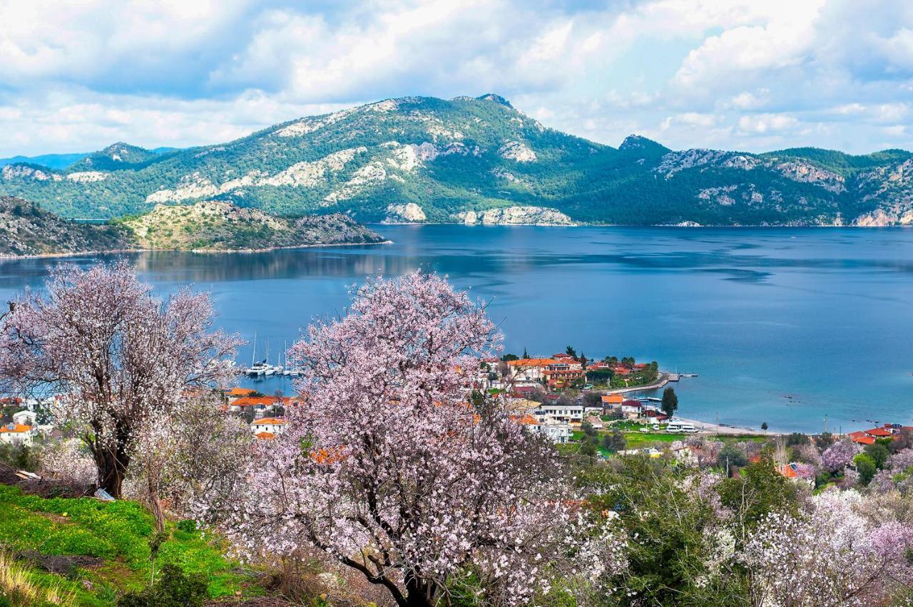 Swan Lake Hotel - Adult Only Selimiye  Zewnętrze zdjęcie